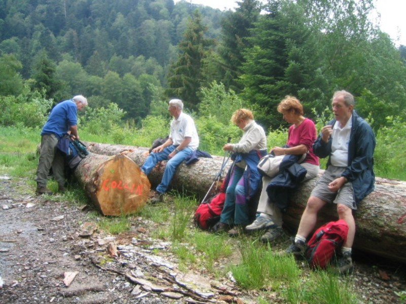 ../Images/q A proximite de la MF di Plain des Loges.jpg